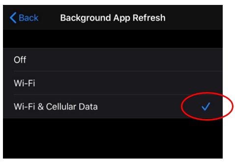 wifi and cellular data