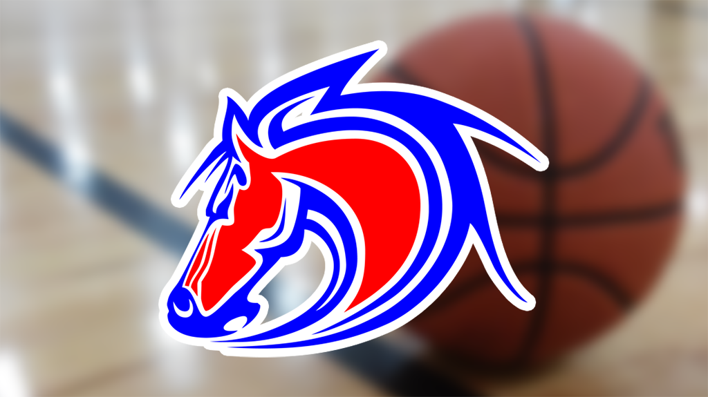 2019-20 Girls Basketball Preview: West Noble Lady Chargers